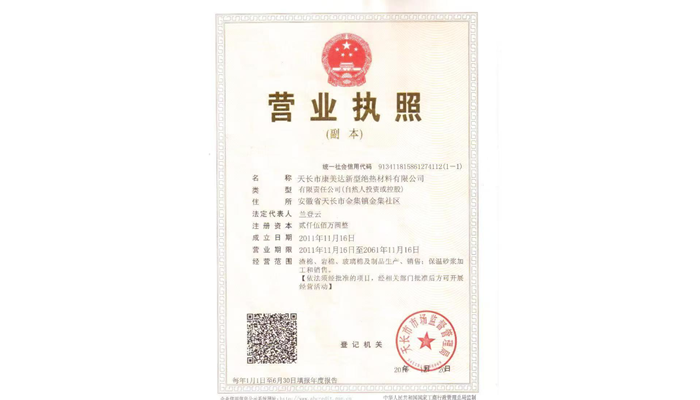行业领先企业